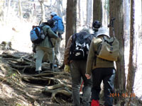 �������N���A����΂�������