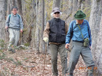 �����i�r�j������̉����