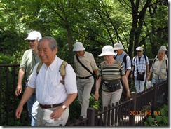 �ʐ�㐅����������Q