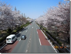 �����E��w�ʂ�̍�