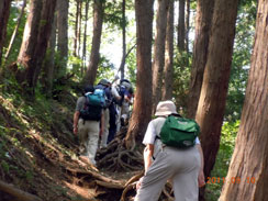 ���̊Ԃ�o��