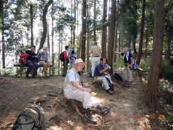 �����ɏo�Đ����⋋