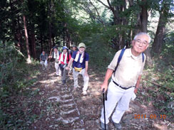 �����ɏo�Đ����⋋