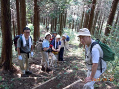 �F�������