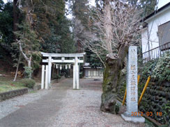 �������z�K�_�ЂɎQ��