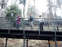 ���ˍ򓹂���̓W�]���悢