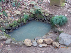 �͂�邱�Ƃ̂Ȃ���P�r