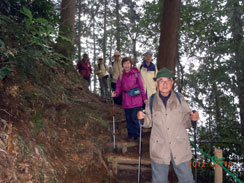 �}�ȉ����