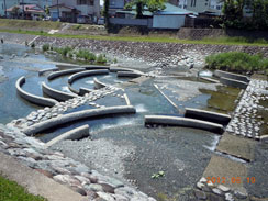 �����k��ł��鉁