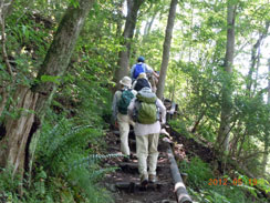 ��ԎR�ւ̓o�蓹