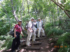 ����͂�������