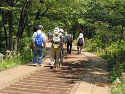 �O�@�R�ւ̊K�i��