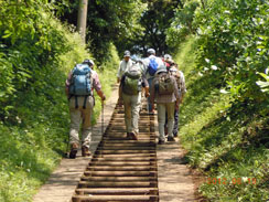 ���㒼�O�̊K�i��