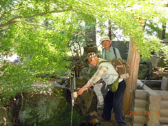 �����v�����ː�