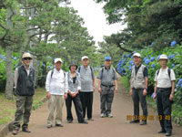 ��P���������̎��z�Ԃ̓�