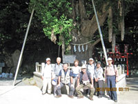 ����W�Q�O�N�̌�_�؁@�Ö؂ɂ��₩��A���C�ɒ������ł��܂��悤��