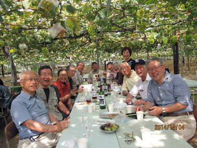 ぶどう棚の下にて