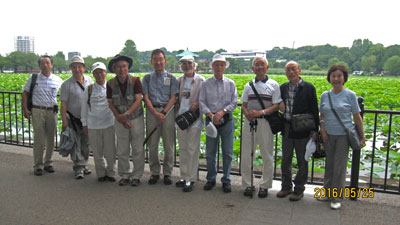 不忍池のほとりにて