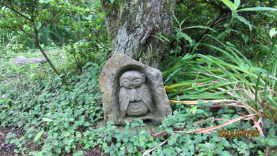 木の根方で愛らしい合掌仏