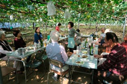 若尾園女ご主人による自家製ワイン説明