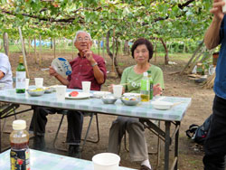 たわわに実ったぶどう（２）