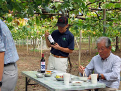 たわわに実ったぶどう（１）