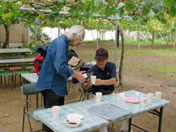 たわわに実ったぶどう（２）