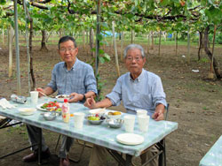 たわわに実ったぶどう（２）