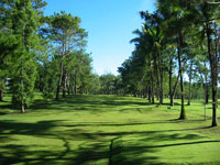 Del Monte G.C.Bukidnonの様子（１）