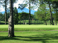 Del Monte G.C.Bukidnonの様子（２）